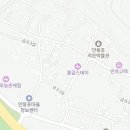 금양민박