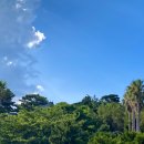 중문오렌지파크 이미지