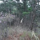 연화약수터 이미지