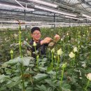 기상농장 이미지