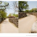 송암초등학교 | 20090501 충남 아산, 외암민속마을의 봄 무르익은 계절。