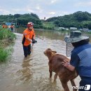 진안-진안-비상-14 이미지