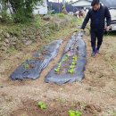 하남장애인직업재활센터 이미지
