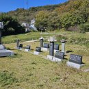 죽음에 관한 뽀실가지 생각 이미지