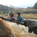 질울고래실마을 이미지