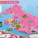 신안군청 | 지금 가기 좋은 신안 꽃명소, 옥도 작약축제 방문 후기