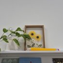 별하독서논술교습소