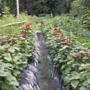 숭실농장 이미지