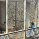 풍경쉼터 | [인왕산 숲속쉼터] 더숲 초소책방 앞에서 출발해 서촌으로 내려온 후기(feat. 서촌스코프)