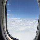 트랙3 | 다낭 패스트트랙 후기 공항픽업 예약 3박5일 일정 공유