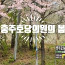 충주호당의원 이미지