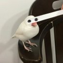 신라초밥