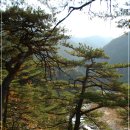 계곡사랑 이미지