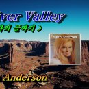 Red river valley /Lynn Anderson 이미지