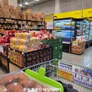 트레이더스 홀세일 클럽 연산점 | 트레이더스 홀세일 클럽 연산점 노브랜드 입점 추석 신상 떡 모둠전 부채살 샤인머스캣 한가득 케이크