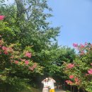 하늘바람꽃농원 | 8월 속초양양 아기랑 가볼만한 곳 영랑호 수국,바람꽃해녀마을 낙산점