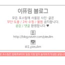 바른치킨 부산신호점 네이버블로그