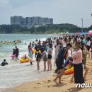 속초바다야 이미지