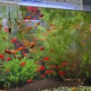 이선생토스트 이미지