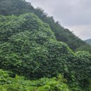 당림유원지 이미지