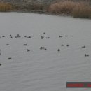 달고개모시마을 이미지