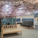 제일수요양원 네이버블로그