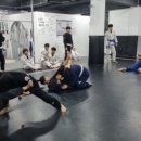 본주짓수삼산 네이버블로그