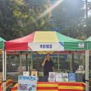 용인대 홍익 태권도장 이미지