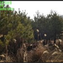 주천면무릉보건진료소 이미지