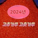 2024년 고추가루 고춧가루 김장용 고추장용 청양 시세 가격 판매 구입 이미지