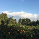 위미2리경로당 이미지