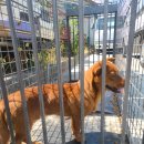 세림종합동물병원 이미지