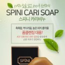 스피니 이미지
