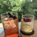 신스포레스트 이미지