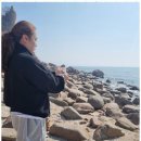 별하 짐 이미지