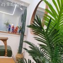 활명당약국 | 냉천동미용실 라오르헤어 가격 위치 영업시간