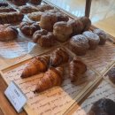 섬유와 나무 꿈 전시 이미지