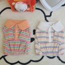 카라인 용품점 이미지