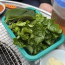 봄바람막창 | 대구당일치기, 야장 맛집 '정민막창' , 평일 방문 오픈런