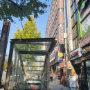 길동보룡약국 이미지