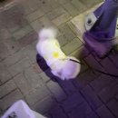 신통치킨 (권곡점)