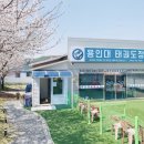 힘찬용인대 태권도장 이미지