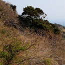 다희 민박 이미지