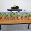 힐링아트문화생활협동조합 이미지