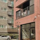 에쇼파모마 이미지