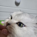 더주스 주식회사 이미지