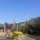 베이스캠프 펜션 | 베이스캠프펜션 태안 안면도 펜션 숙소 내돈내산