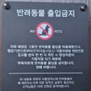 완산-84 | 전주 가면 꼭 먹어야 할 맛집 2곳 베테랑 칼국수, 오짱 꼬치 방문 솔직후기