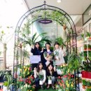 한국화훼센타 이미지