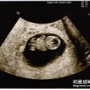 강선영산부인과